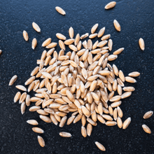 Laden Sie das Bild in den Galerie-Viewer, Bio-Dinkel Flocken - 25.stunden.BROT