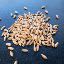Laden Sie das Bild in den Galerie-Viewer, Bio-Dinkel ganz - 25.stunden.BROT
