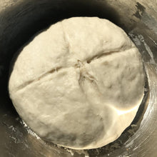 Laden Sie das Bild in den Galerie-Viewer, Bio Sauerteig Anstellgut Lievito Madre - 25.stunden.BROT