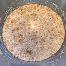 Laden Sie das Bild in den Galerie-Viewer, Bio Sauerteig Anstellgut Roggen - 25.stunden.BROT