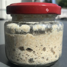 Laden Sie das Bild in den Galerie-Viewer, Bio Sauerteig Anstellgut Roggen - 25.stunden.BROT