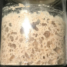 Laden Sie das Bild in den Galerie-Viewer, Bio Sauerteig Anstellgut Weizen - 25.stunden.BROT
