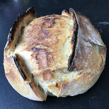 Laden Sie das Bild in den Galerie-Viewer, Brotbacktopf - 25.stunden.BROT