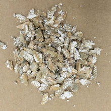 Laden Sie das Bild in den Galerie-Viewer, Elektrische Flockenquetsche - 25.stunden.BROT