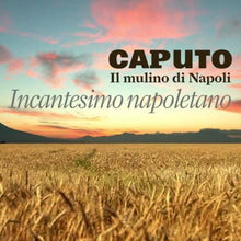 Laden Sie das Bild in den Galerie-Viewer, Pizza-Mehl Typ 00 - Caputo Pizzeria (Weizenmehl) - 25.stunden.BROT